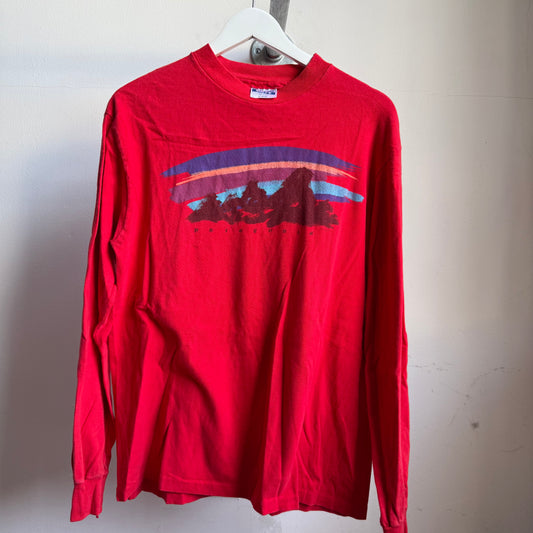patagonia longsleeve tee - l